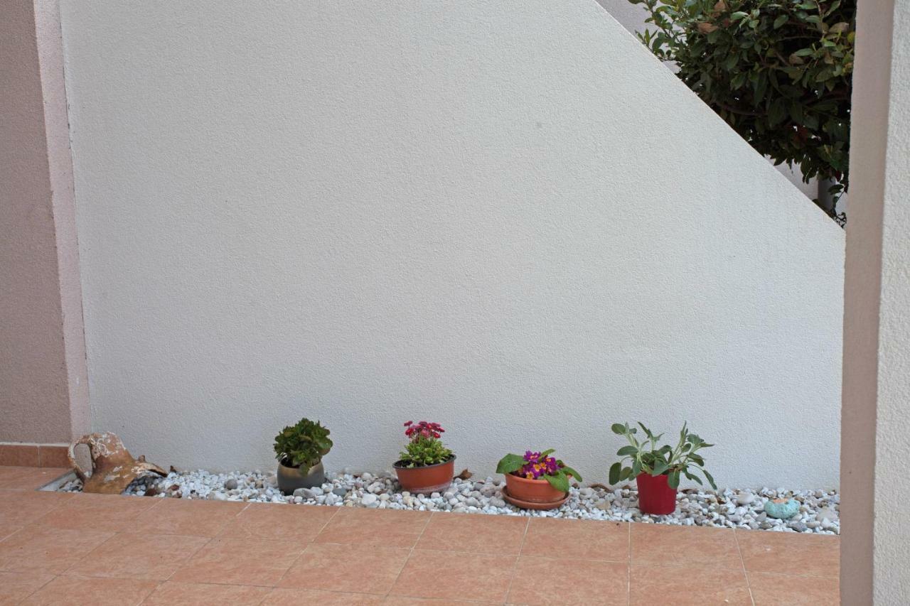Apartment Studio Sole Ρόβινι Εξωτερικό φωτογραφία